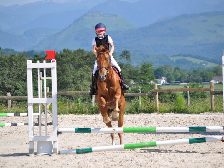 Saut d'obstacle, montagnes en fond