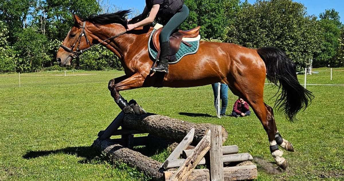 Anaë à l'obstacle de cross